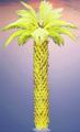 new/yellow_palm.jpg